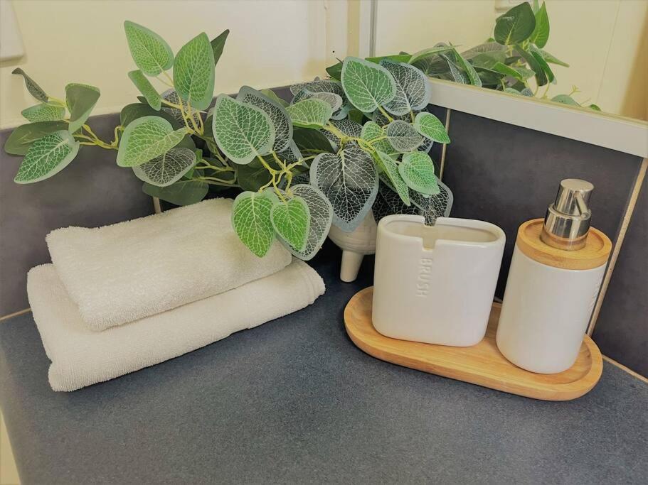 Three Palms Apartments Unit 2 エスペランス エクステリア 写真